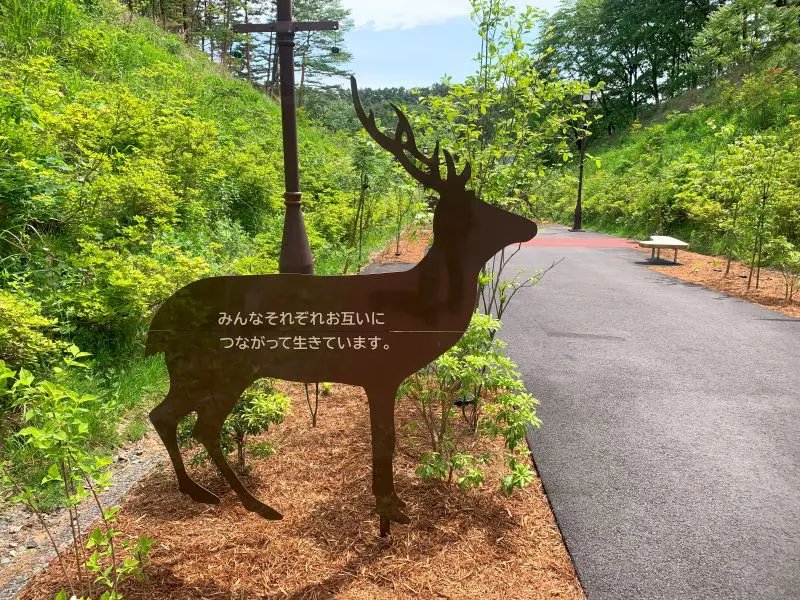 🏞️ 모리오카시 동물공원 줌오 이미지 5